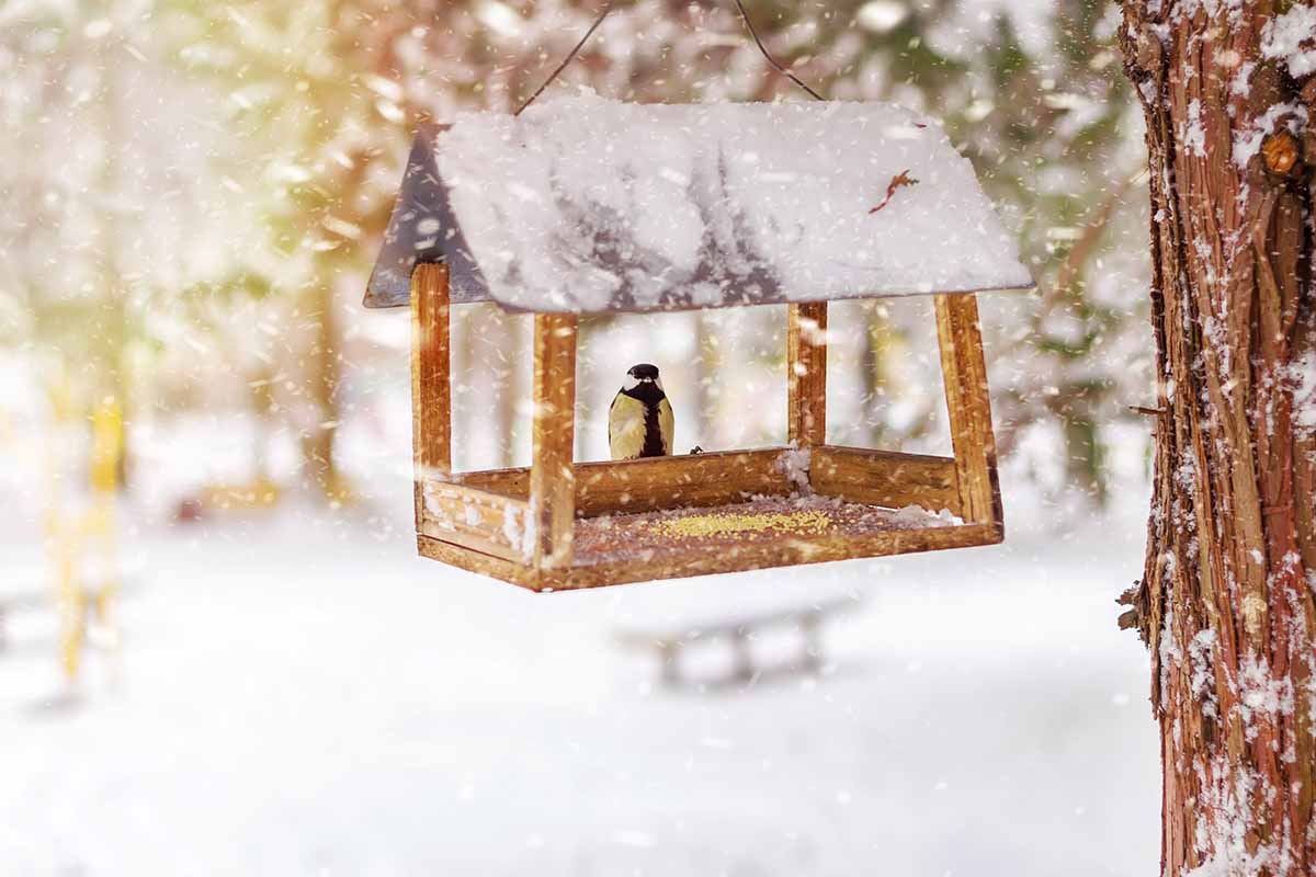 A horizontal shot of a wooden bird feeder with a great tit sitting in the center while snow falls around.