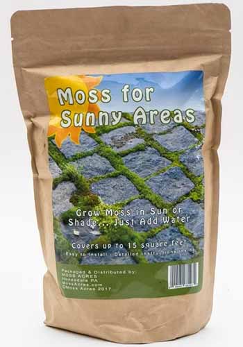 A close up of a packet of moss milkshake for sunny areas isolated on a white background.