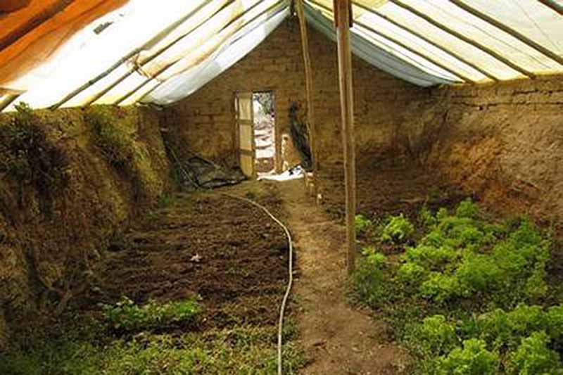 A close up horizontal image of the view into an underground walipini greenhouse.