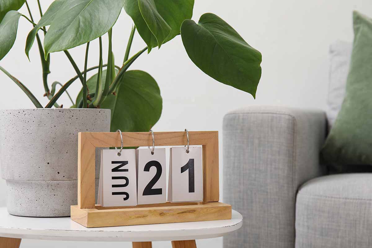A horizontal photo of a stylish grey sofa next to a side table with houseplant sitting on it and a calendar in front of the plant on the table.
