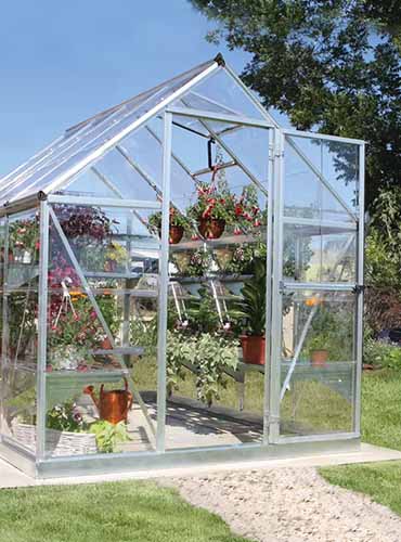 A close up of a Canopia glasshouse structure in the backyard.