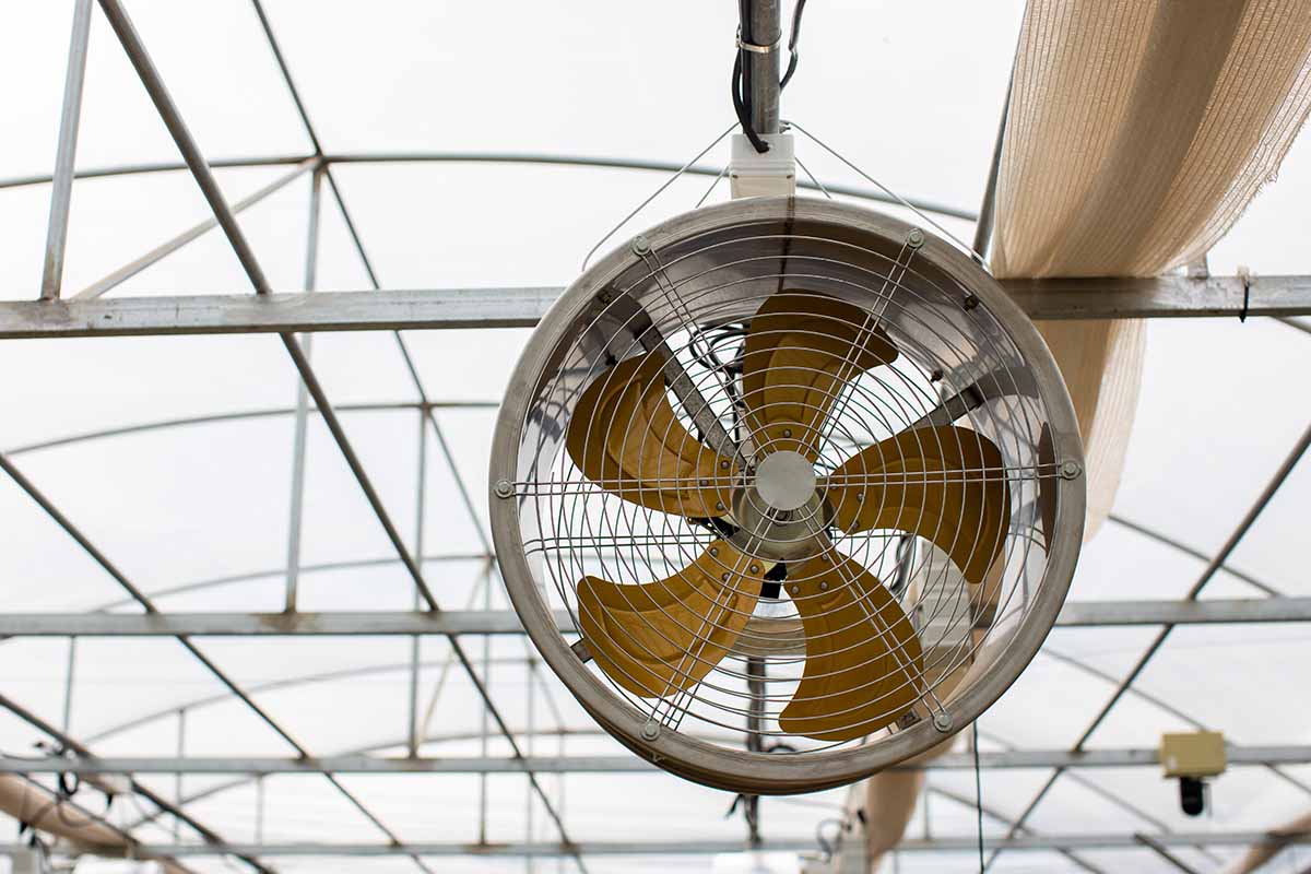 A close up horizontal image of a ventilation fan hanging from the ceiling in a greenhouse.
