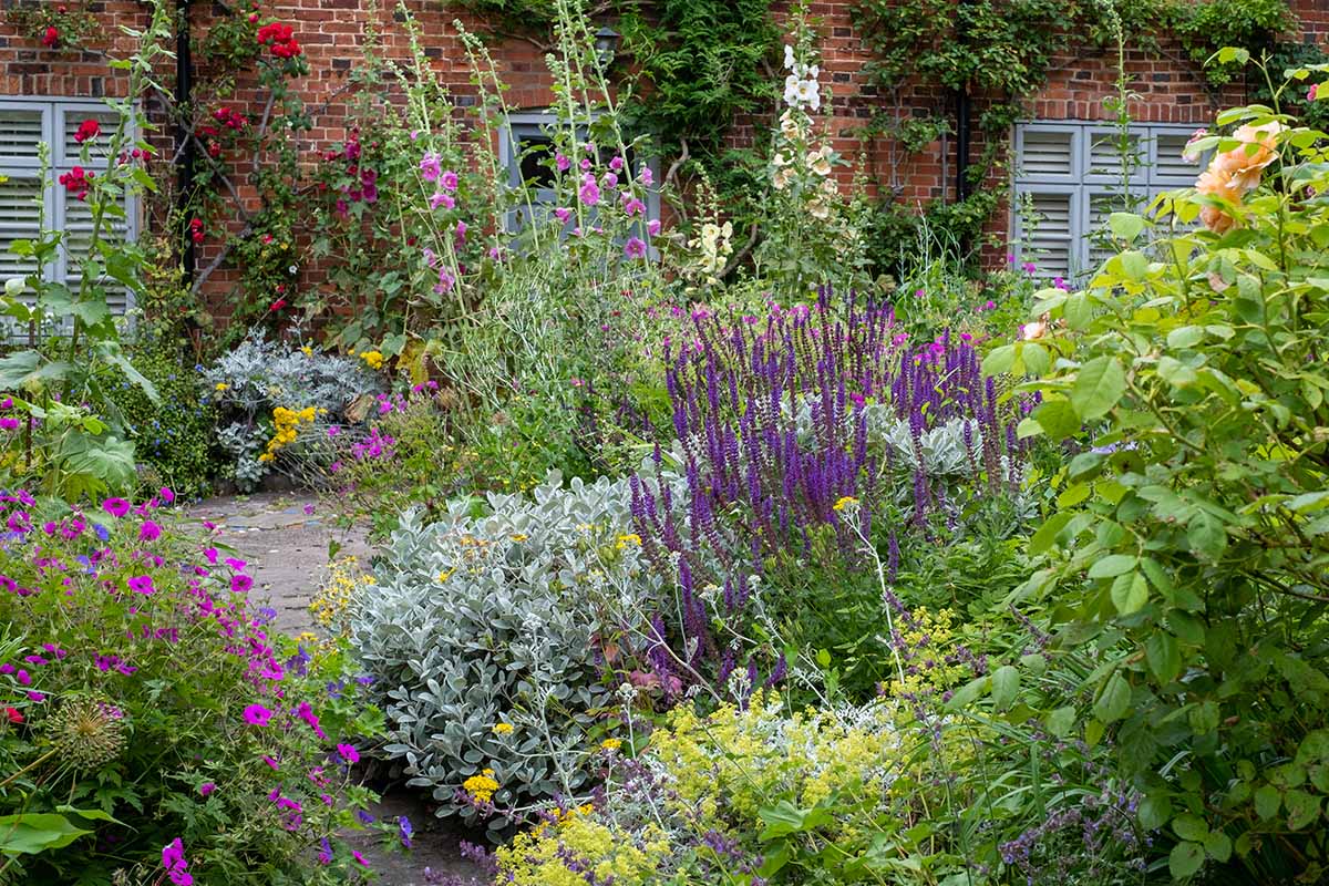 A horizontal image of a colorful cottage garden with a variety of perennial plantings outside a brick residence.