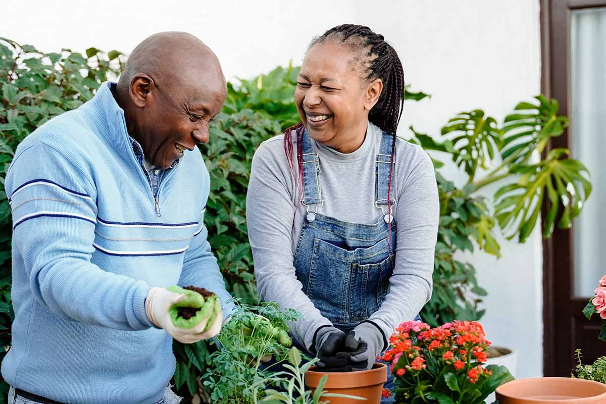 A close up horizontal image of two gardeners laughing while they pot up plants.
