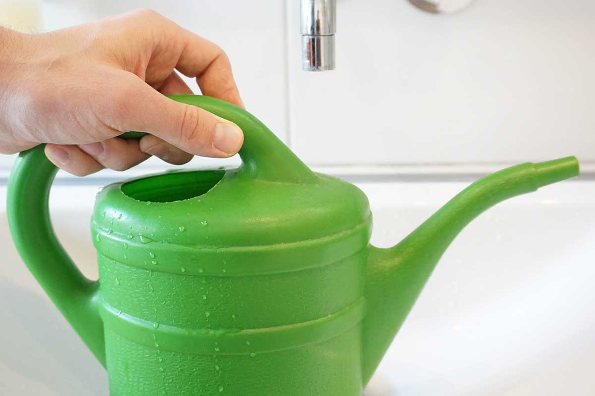 A horizontal shot of a hand gripping a filled green watering can under the tap of a bathroom sink.