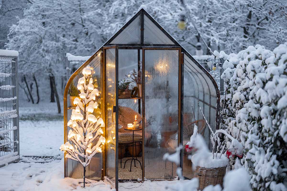A horizontal image of a greenhouse with a seating area inside it and a decorative lit up tree outside, surrounded by snow in wintertime.