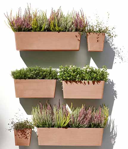 A square image of rectangular wall planters isolated on a white background.