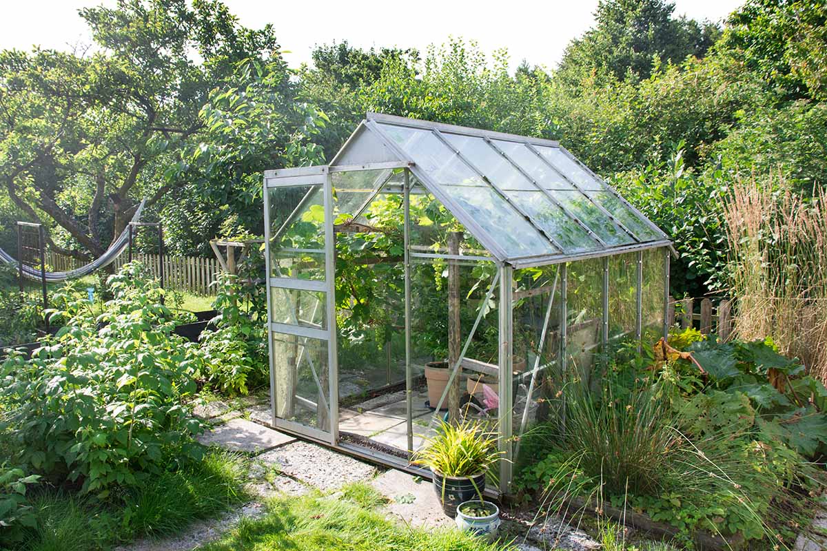 A horizontal image of a garden scene with a variety of different perennials and fruit trees and a greenhouse structure.