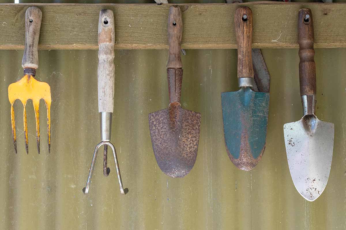A close up horizontal image of a selection of hand tools hanging up on a corrugated iron wall in a shed.