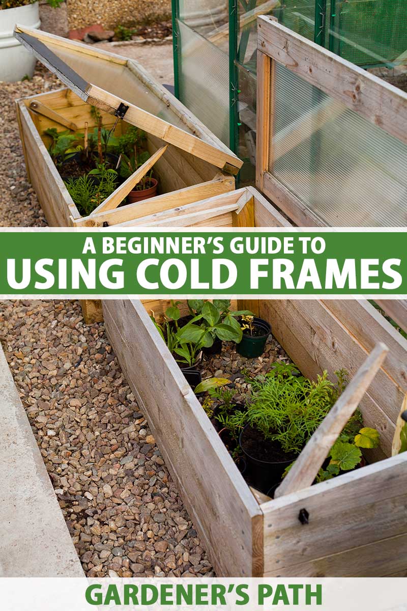 A close up vertical image of wooden cold frames in the garden with gravel pathways in between. To the center and bottom of the frame is green and white printed text.