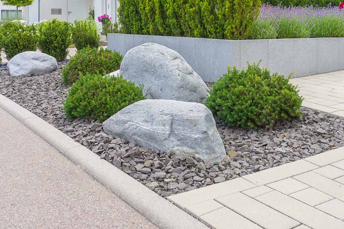 A horizontal image of a modern formal outdoor garden with large stones, perennials, evergreen shrubs, and a mulch of gravel pebbles, all surrounded by hardscape elements such as walls and pavers.