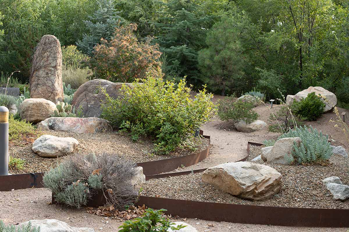 A horizontal image of a xeriscape garden with boulders in Arizona garden center, with a line of lush green trees in the background.