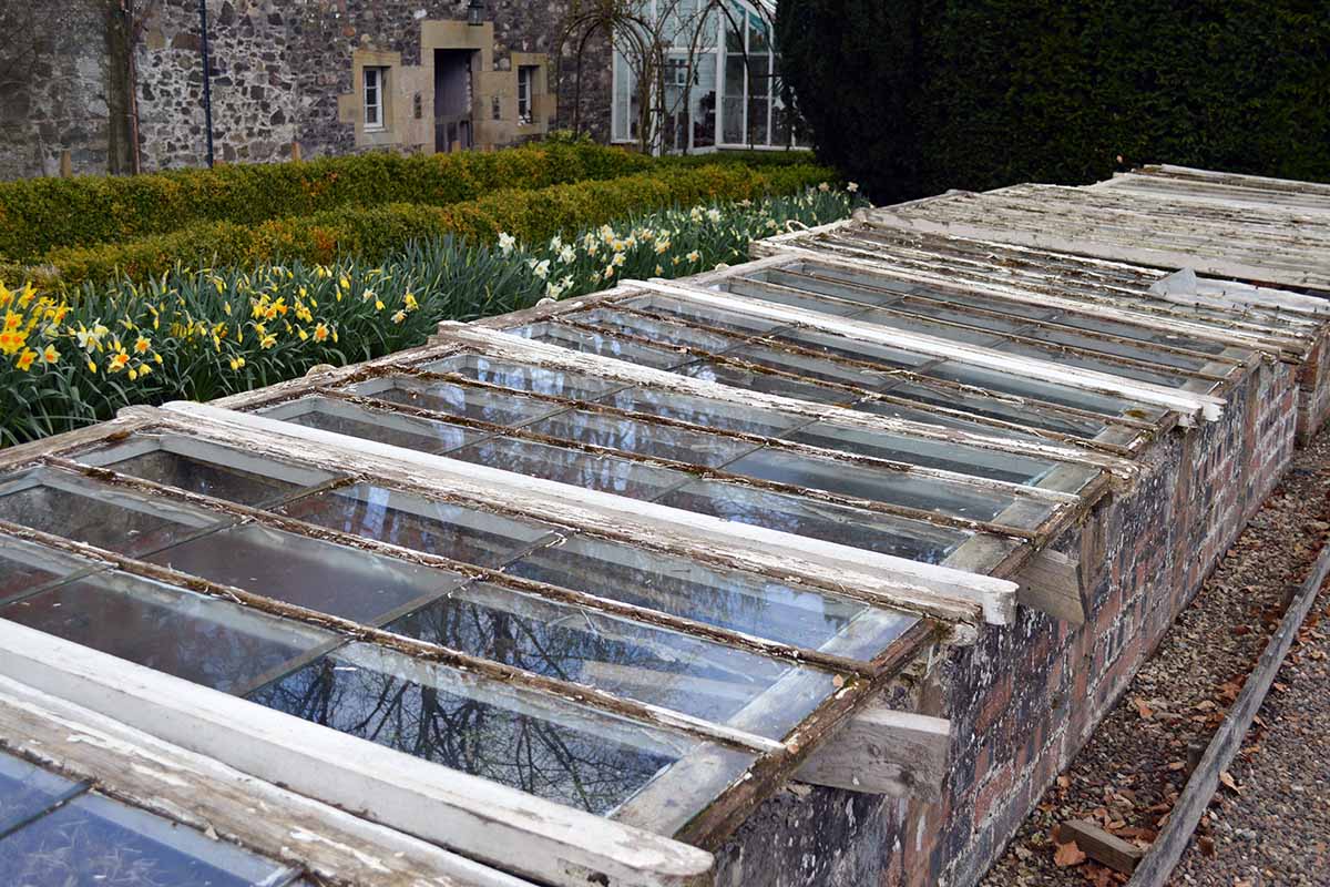 A horizontal image of a large brick cold frame outside a huge residence.