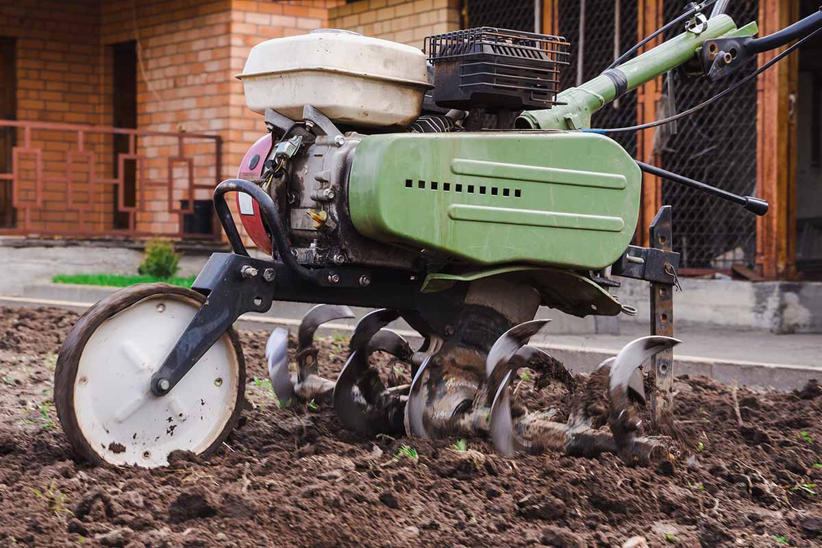 A horizontal shot of a rototiller in the middle of a tilled garden bed.