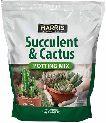 A close up of a bag of Harris Succulent and Cactus Potting Mix isolated on a white background.
