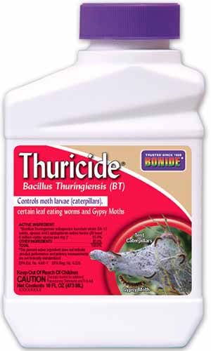 A vertical product photo of a container of Bonide Thuricide against a white background.