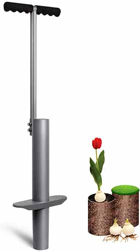 A vertical product photo of a bulb planter to be used in lawns.
