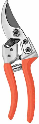 A close up of a pair of bypass secateurs with an orange handle isolated on a white background.