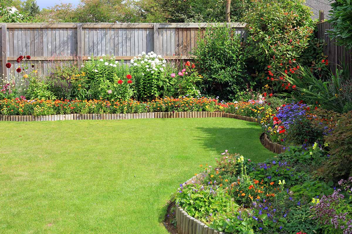 A horizontal image of a formal garden with neat borders with a variety of perennial and annual flowers surrounding a lawn, with a wooden fence in the background.