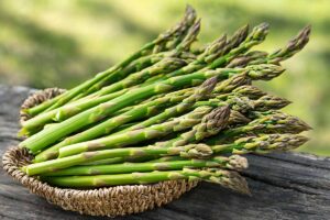A close up horizontal image of a wicker basket filled with a bunch of freshly harvested asparagus spears set on a wooden table outdoors pictured on a soft focus background.