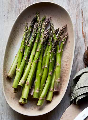 A close up of a bowl of 'Millenium' asparagus spears set on a wooden table.