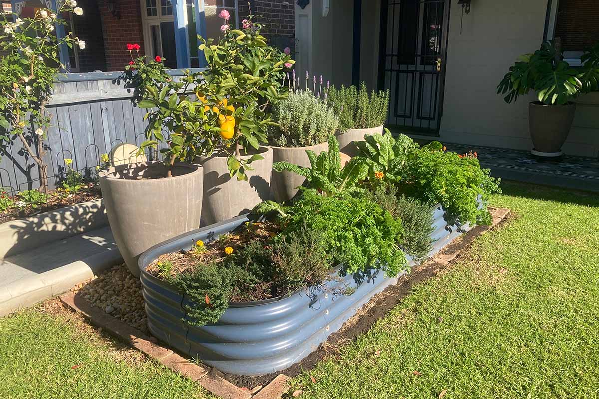 A horizontal image of a modular, metal raised bed garden with four large containers in a small space in front of a house.