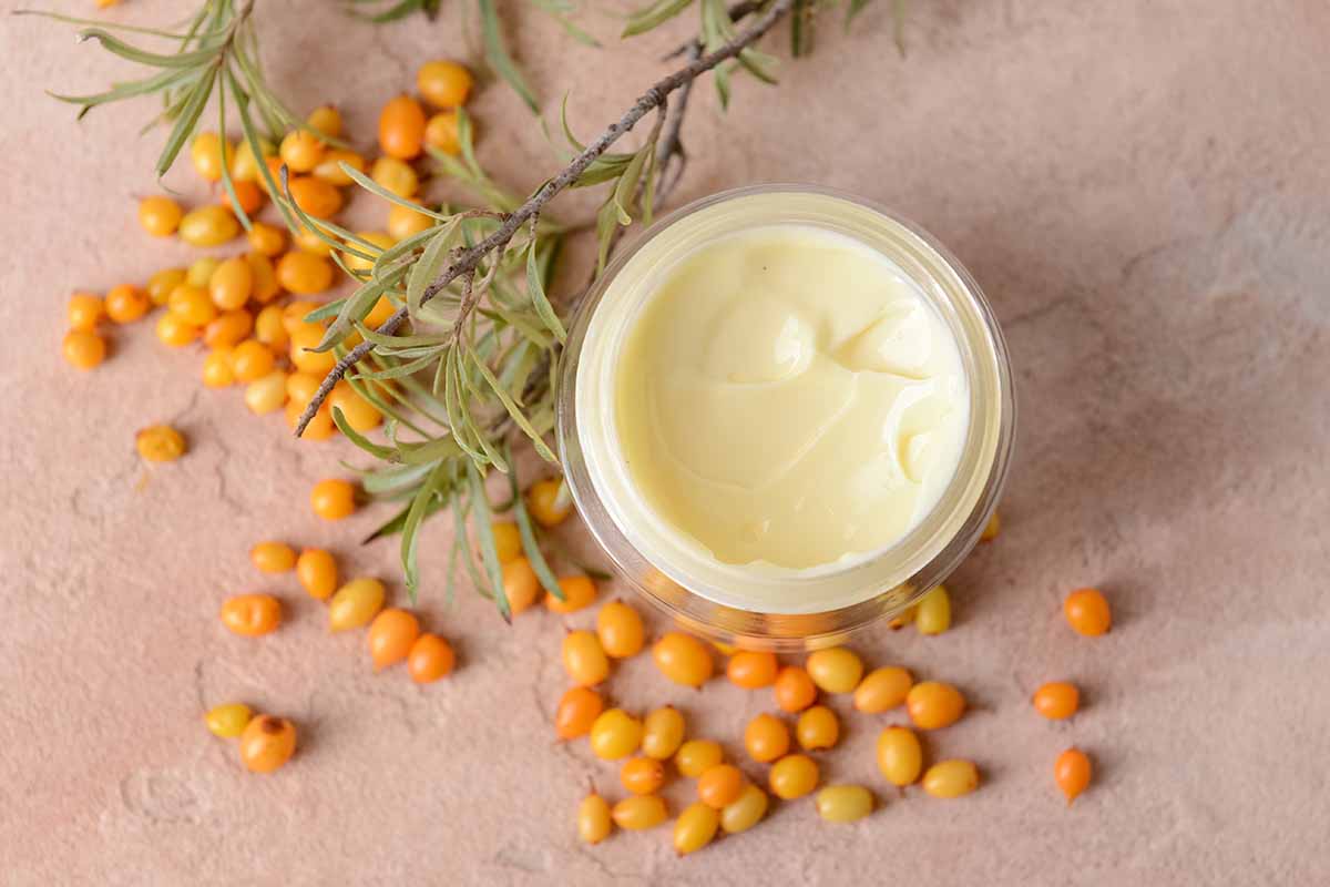 A close up of a jar of sea buckthorn cream surrounded by berries and foliage.