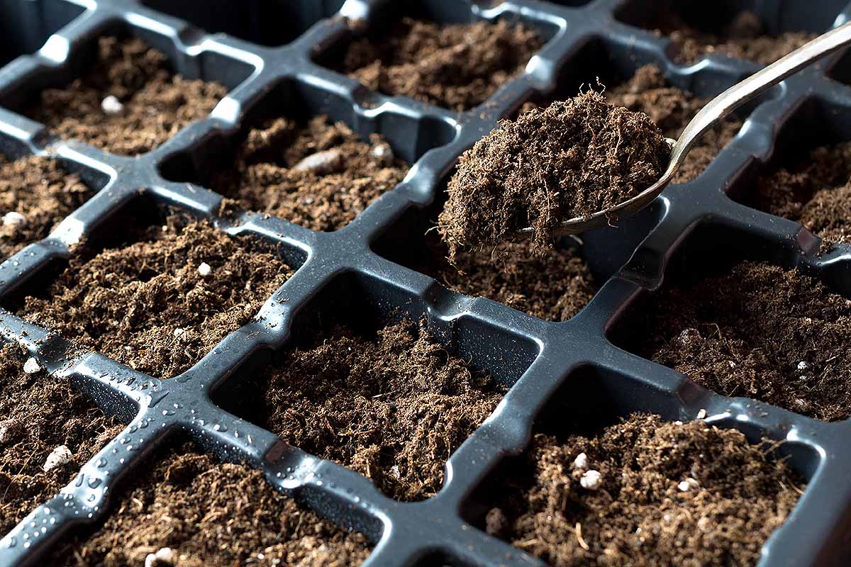 A horizontal close up photo of a black plastic multi-slot flat filled with soil and ready for seed planting.