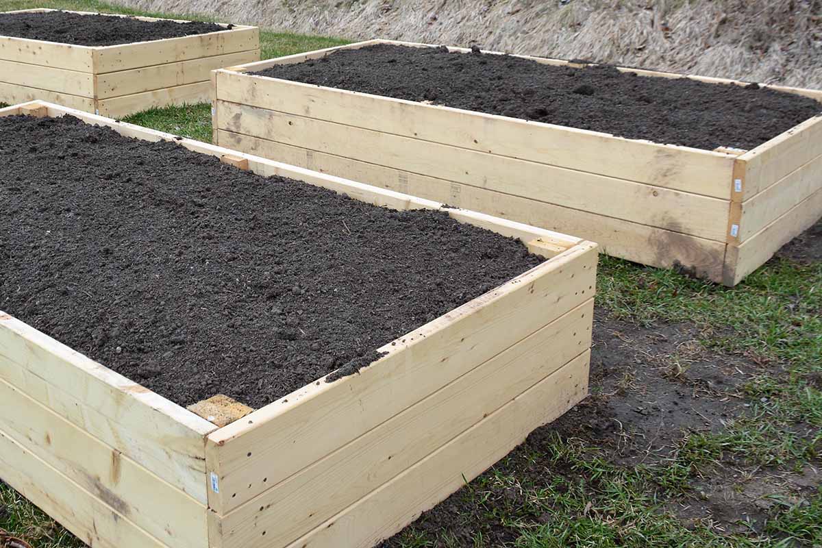 A close up horizontal image of newly constructed wooden raised bed garden beds in the backyard.