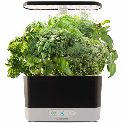 A square product photo of an Aerogarden garden with growlight filled with plants ready to be harvested.
