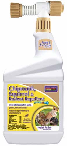 A close up of a bottle of chipmunk, squirrel, and rodent repellent spray isolated on a white background.
