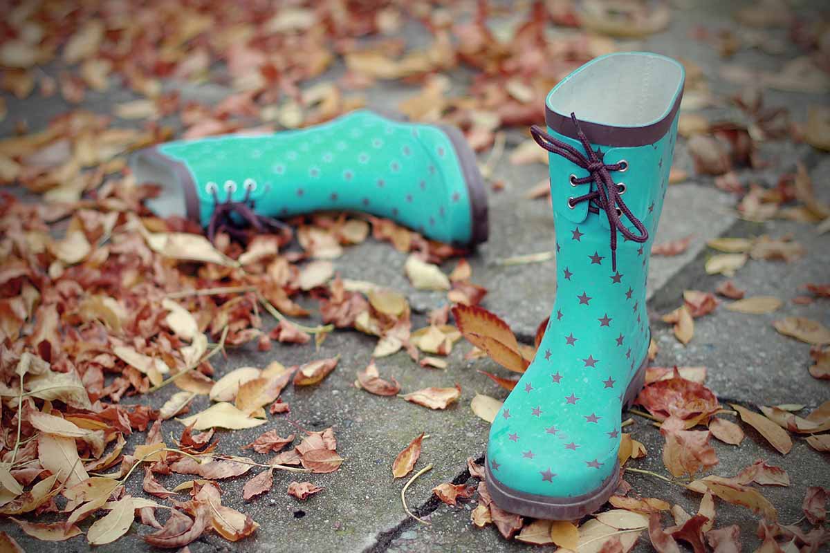 A close up horizontal image of blue gardening boots on a pathway surrounded by fallen leaves.
