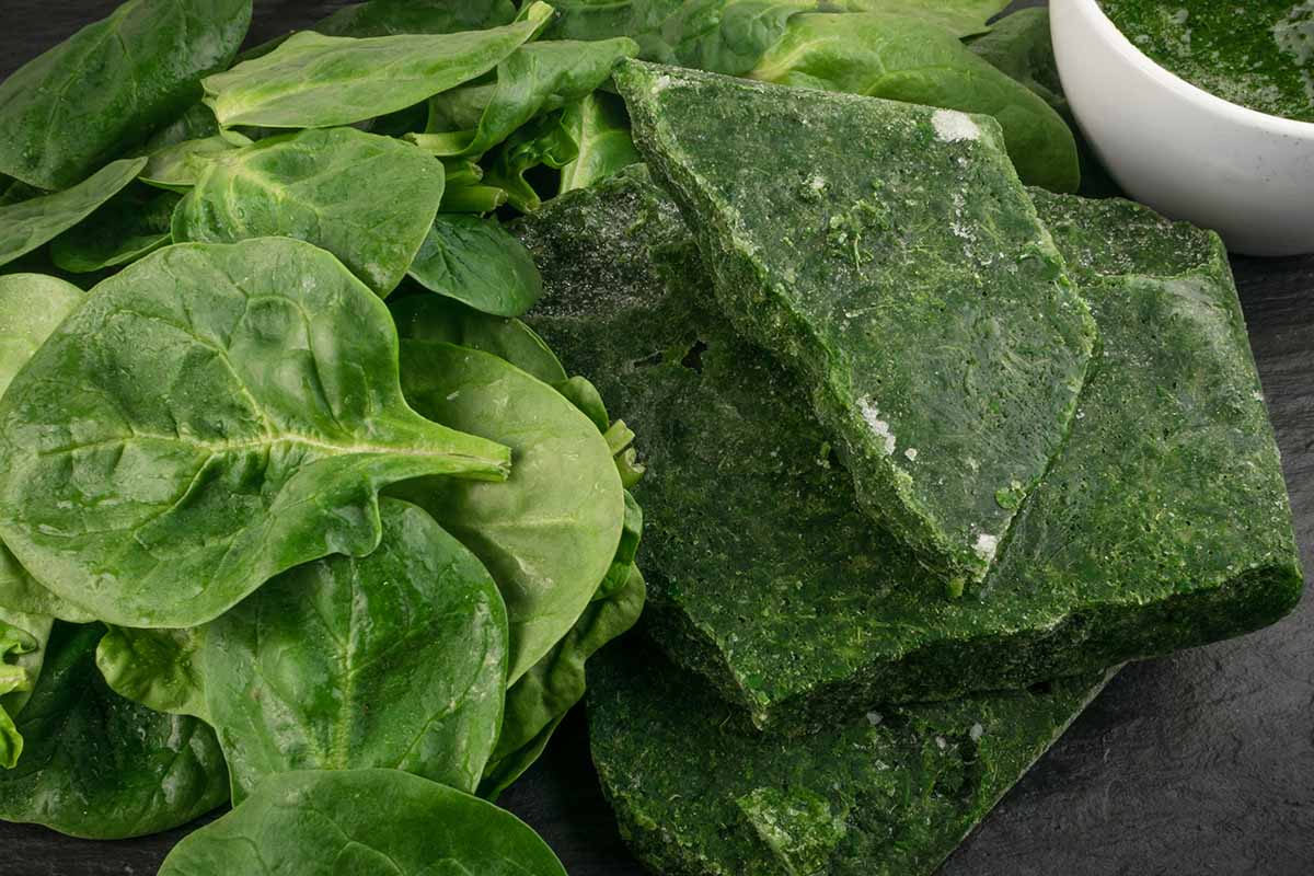 A horizontal photo of fresh spinach leaves next to a block of frozen spinach leaves.