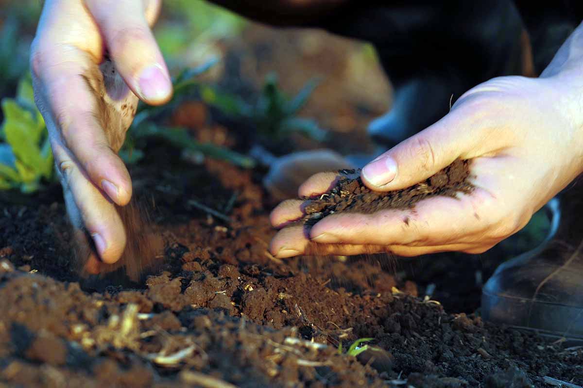 A horizontal photo of a gardener working the soil.