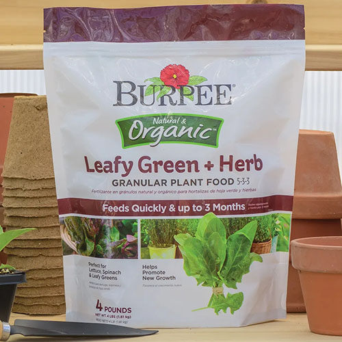 A square product photo of a bag of Burpee Leafy Green + Herb Plant food sitting on a potting bench.