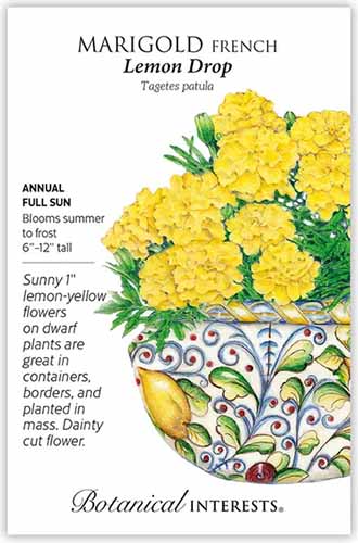 A packet of 'Lemon Drop' marigold seeds with a hand-drawn illustration of potted blooms and text.