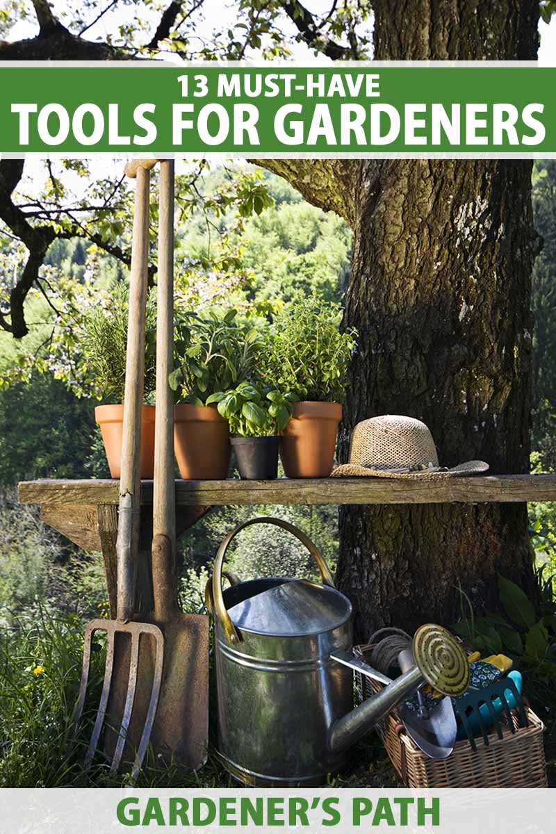 A vertical image of gardening tools underneath a tree with trees in the background. To the top and bottom of the frame is green and white printed text.