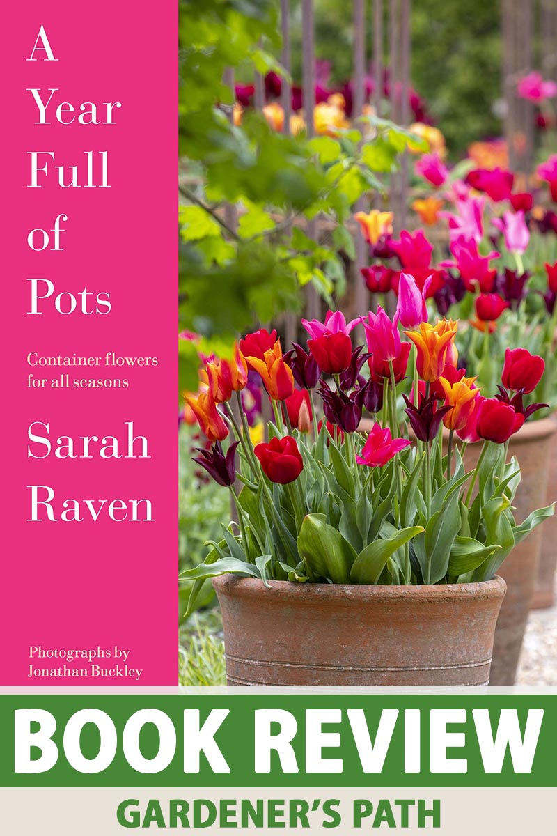 A close up vertical image of the cover of the book A Year Full of Pots Container Flowers for All Seasons by Sarah Raven. To the left of the frame is white text on a pink background, to the right is a terra cotta container filled with colorful tulips, and green and white printed text runs across the bottom of the frame.