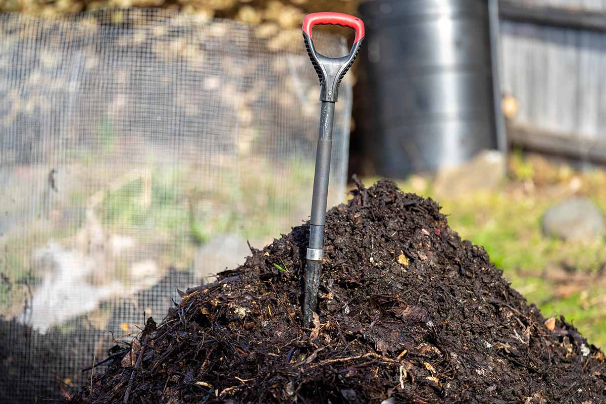 A horizontal image of a spade in a compost pile with some steel hardware cloth propped up behind it.