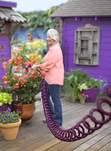 A close up of a gardener using a purple coil hose to irrigate potted plants on a wooden deck.
