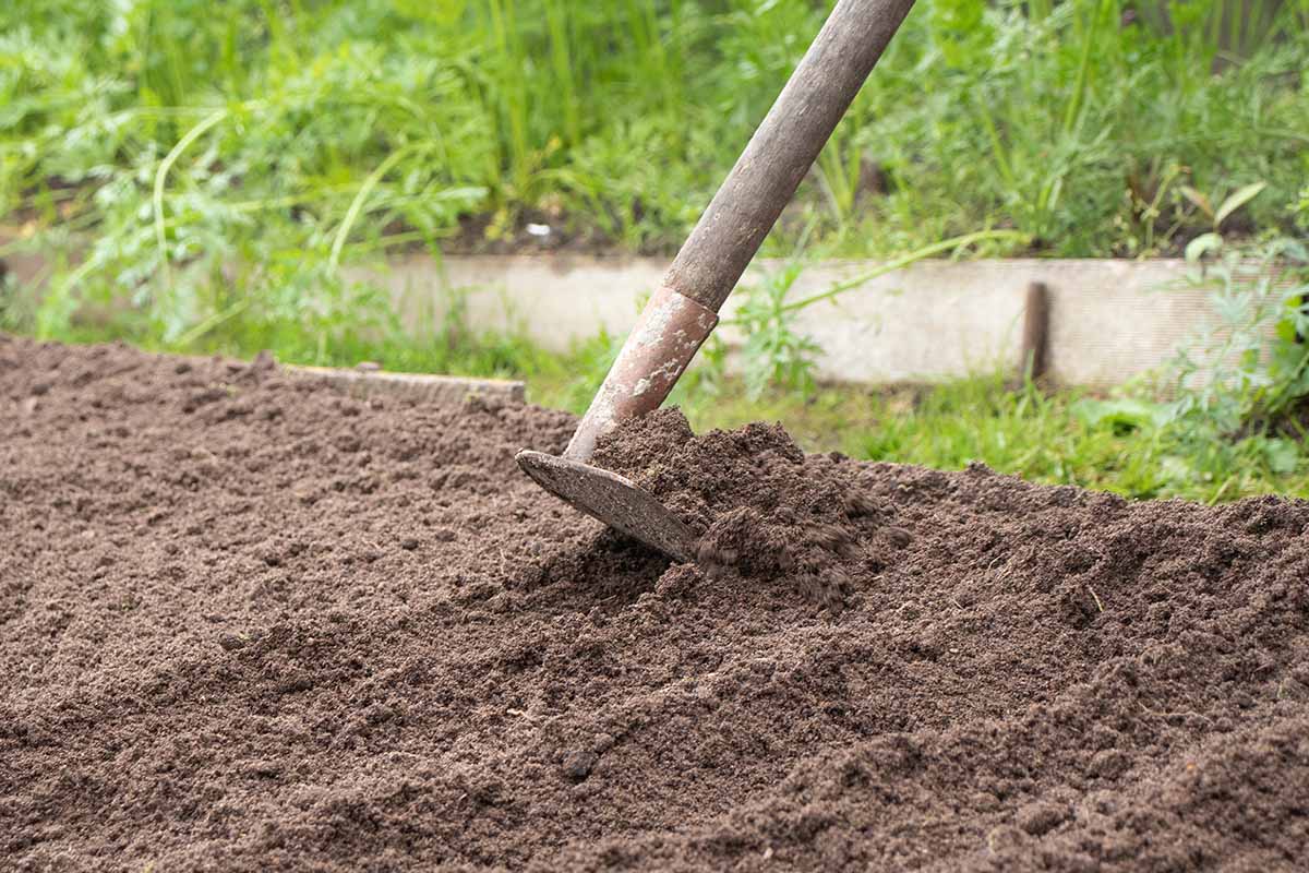 A close up horizontal image of a hoe spreading soil in the vegetable garden.