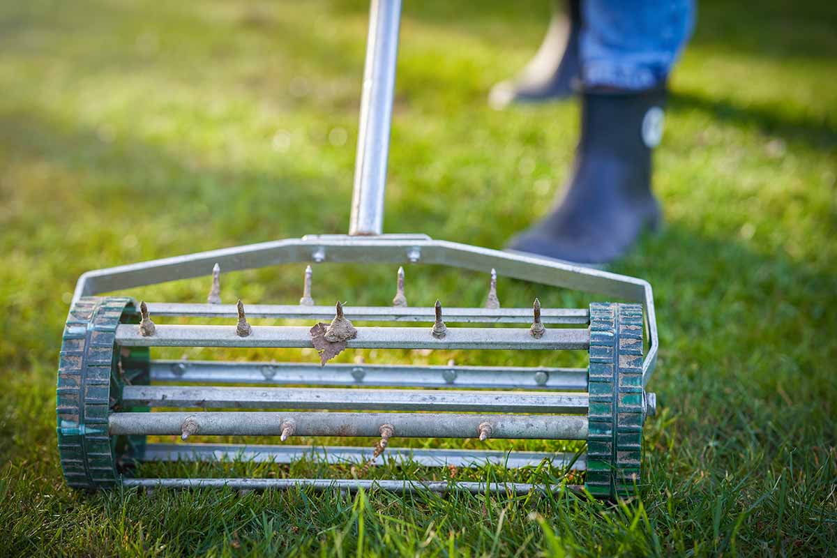 A close up horizontal image of a gardener using a lawn aerator.