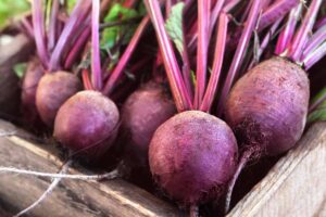 A close up horizontal image of freshly harvested and cleaned beets in a wooden box.