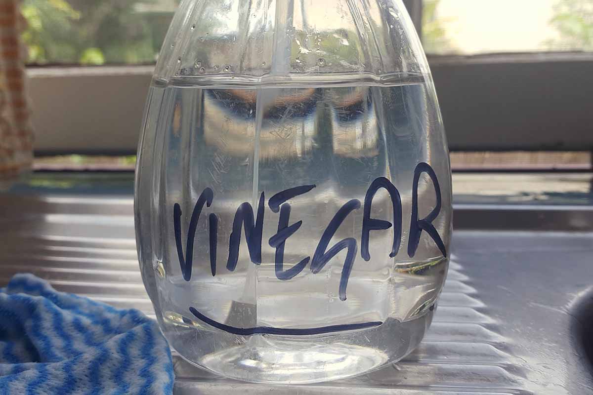 A horizontal photo of a clear spray bottle sitting on a table filled with vinegar written in black marker.