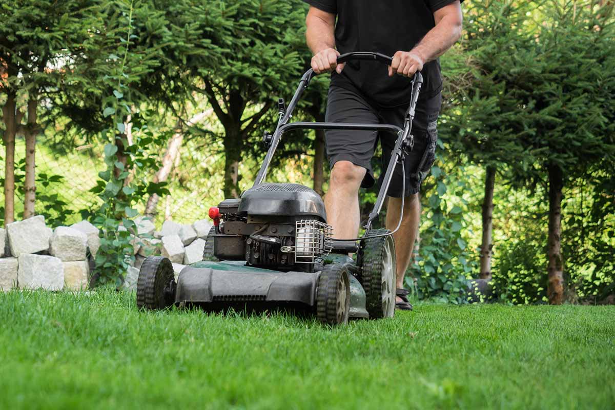 A close up of a man's legs wearing shorts while he mows the lawn with a petrol mower, with trees in the background.