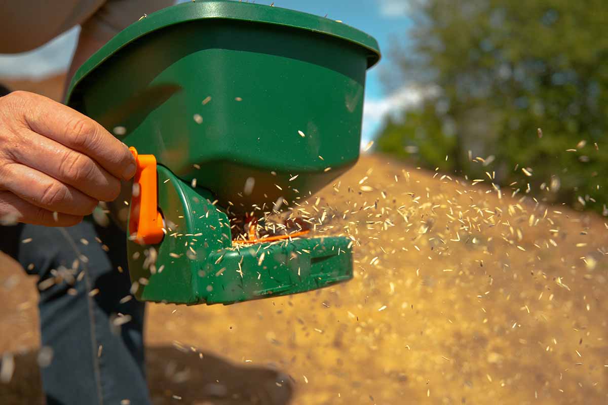 A close up horizontal image of a gardener using a handheld seed spreader.
