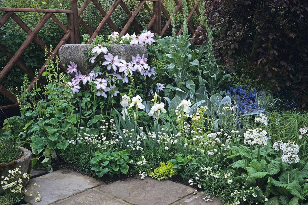 A horizontal image of a garden bed in a shady spot by a patio, featuring muted tones.