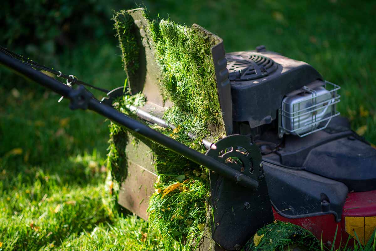 A close up horizontal image of a lawn mower clogged with wet grass.