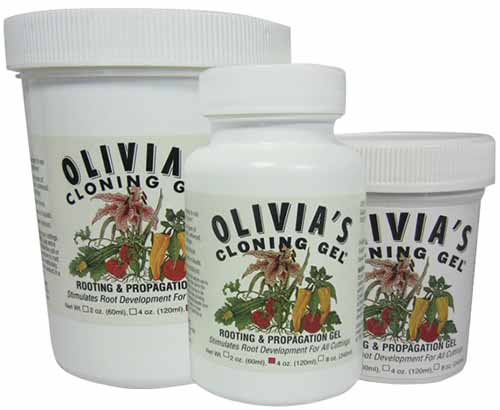 A close up of three different jar sizes of Olivia's cloning gel isolated on a white background.
