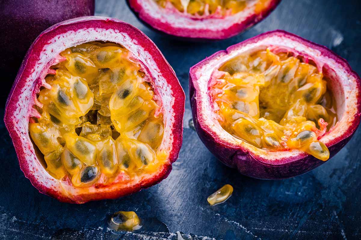 A horizontal shot of several passionfruit cut open with the seeds exposed.